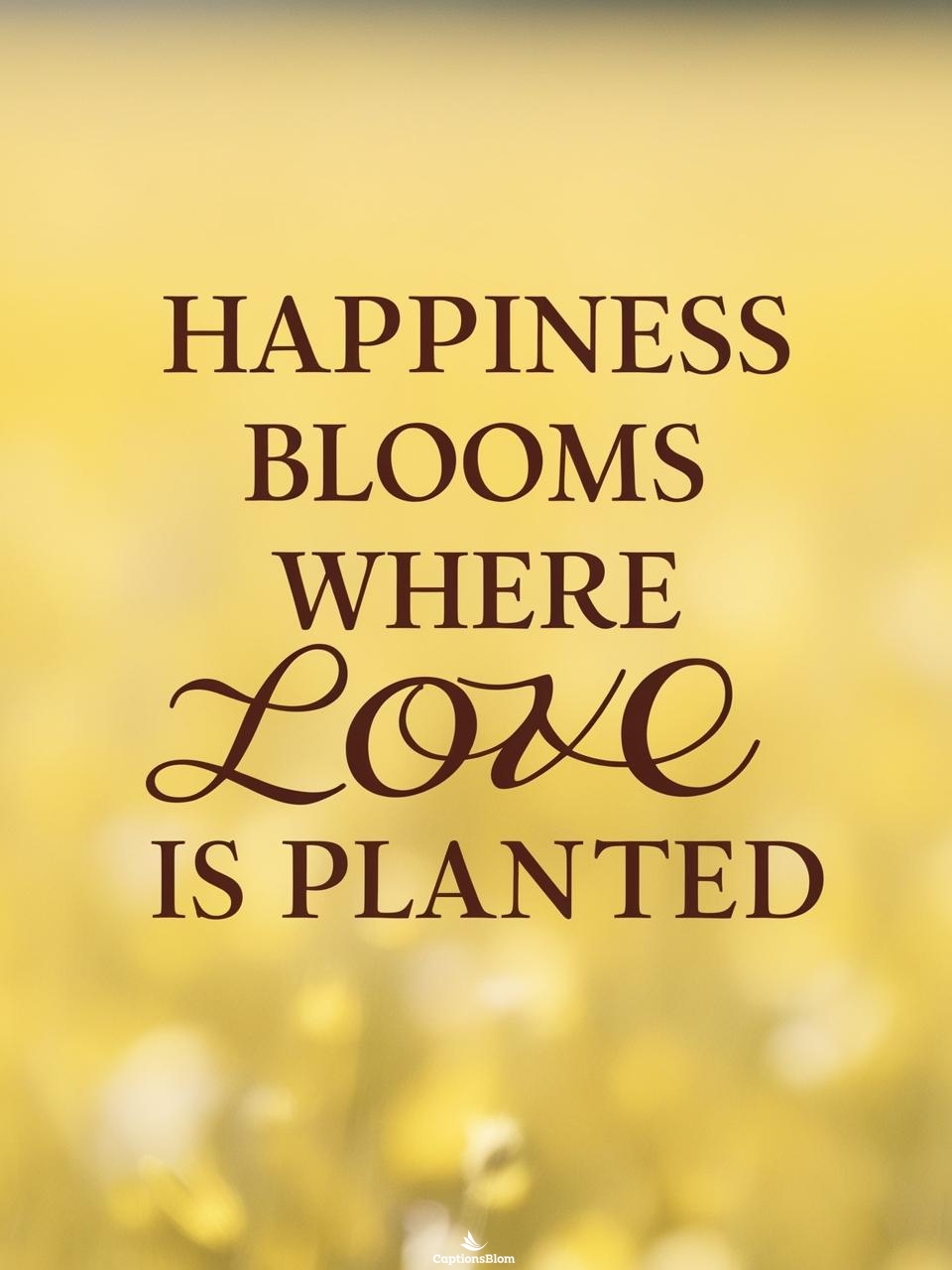 Creative Long Time No Post Captions For Instagram