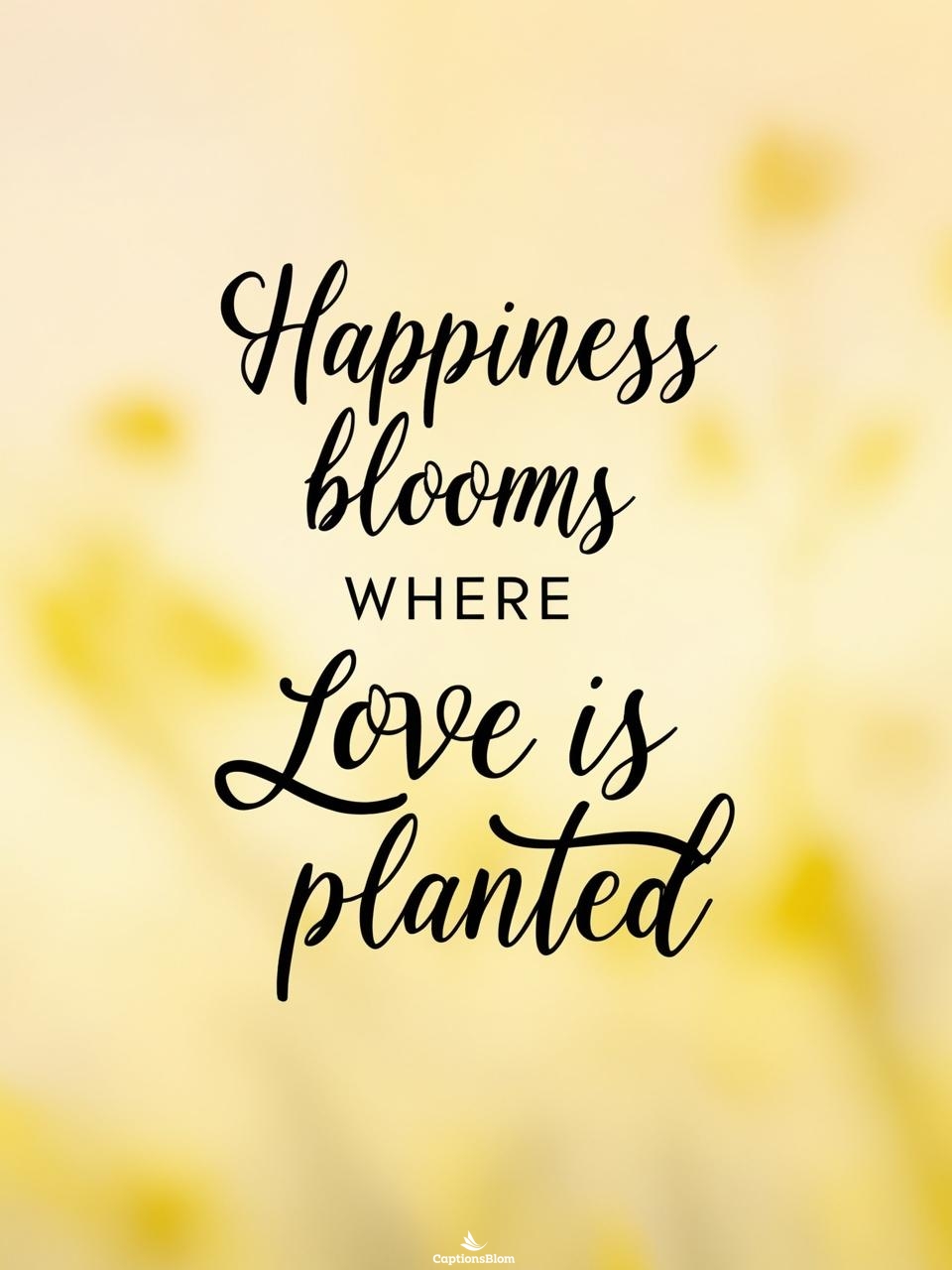 Trending Long Time No Post Captions For Instagram