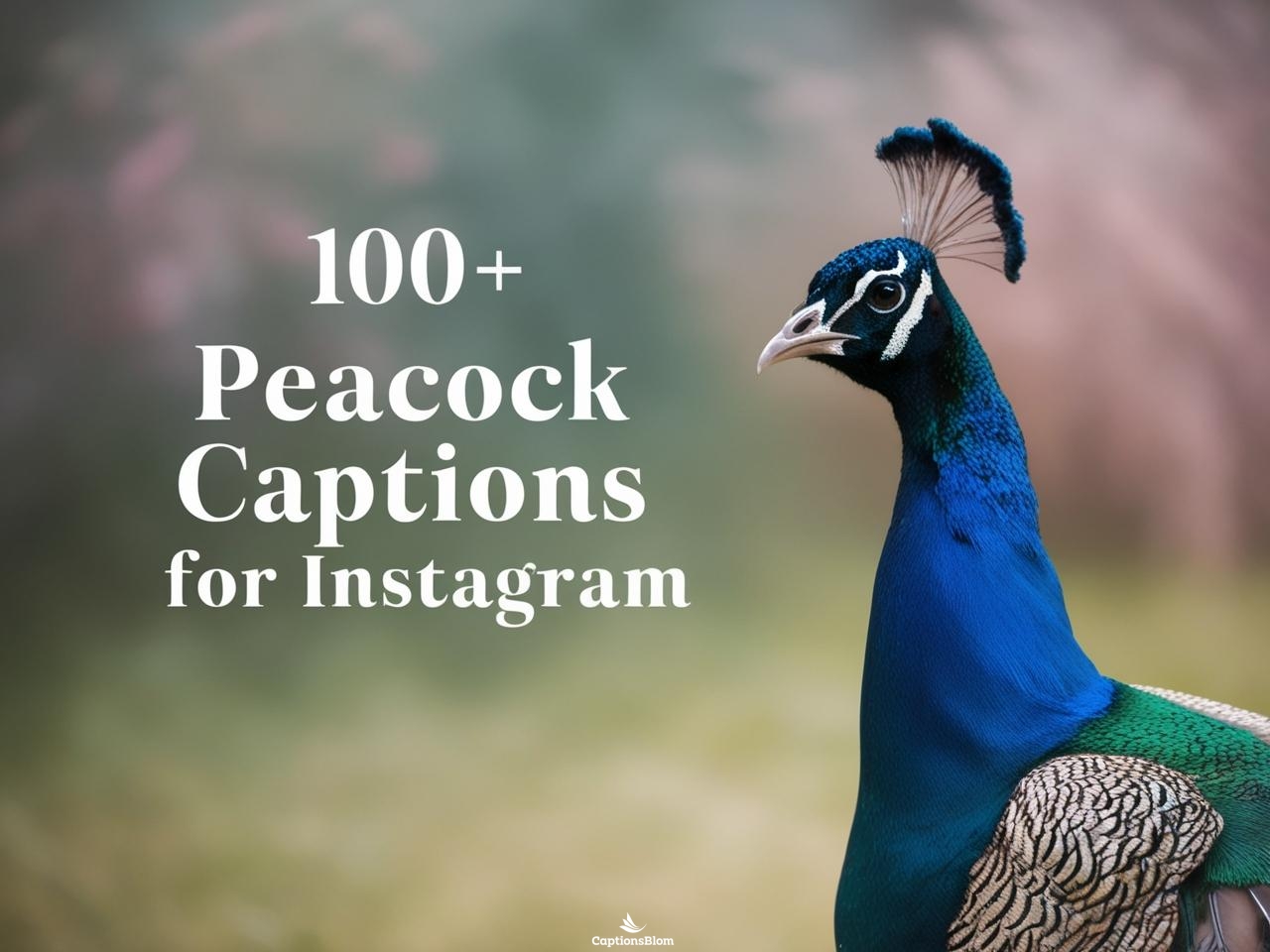 100+ Trendy Peacock Captions For Instagram in 2025