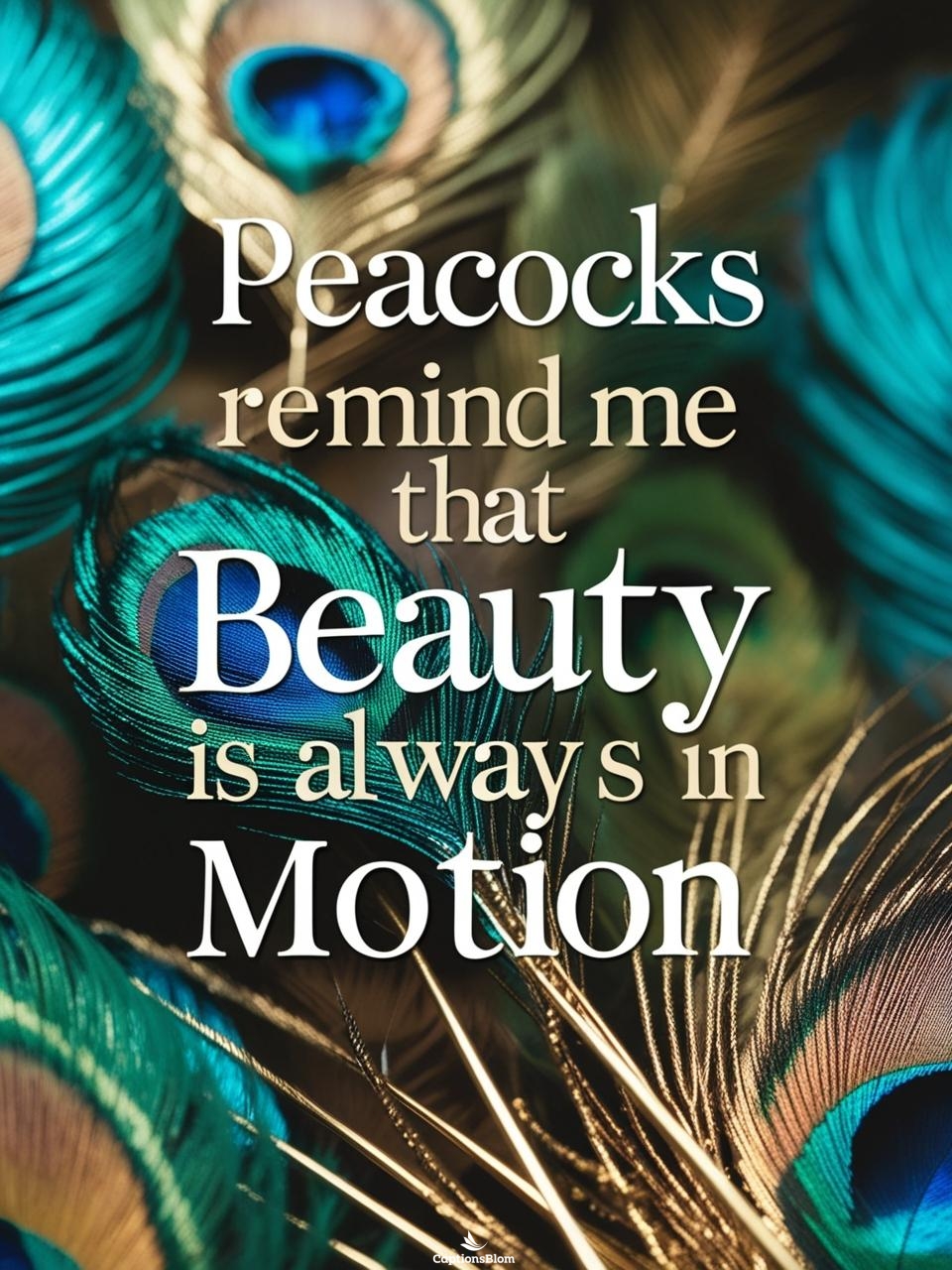 Peacock Captions For Instagram