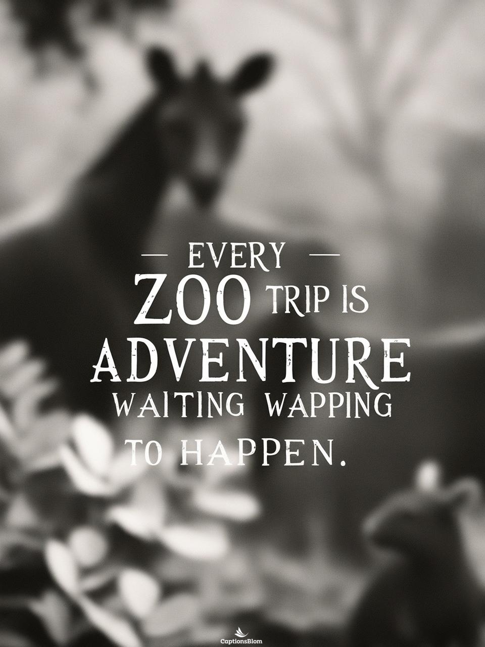 Creative Zoo Captions For Instagram