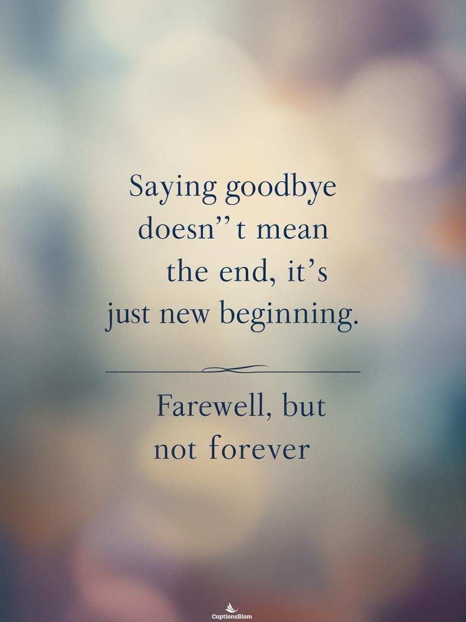 Short Farewell Captions For Instagram For Friends