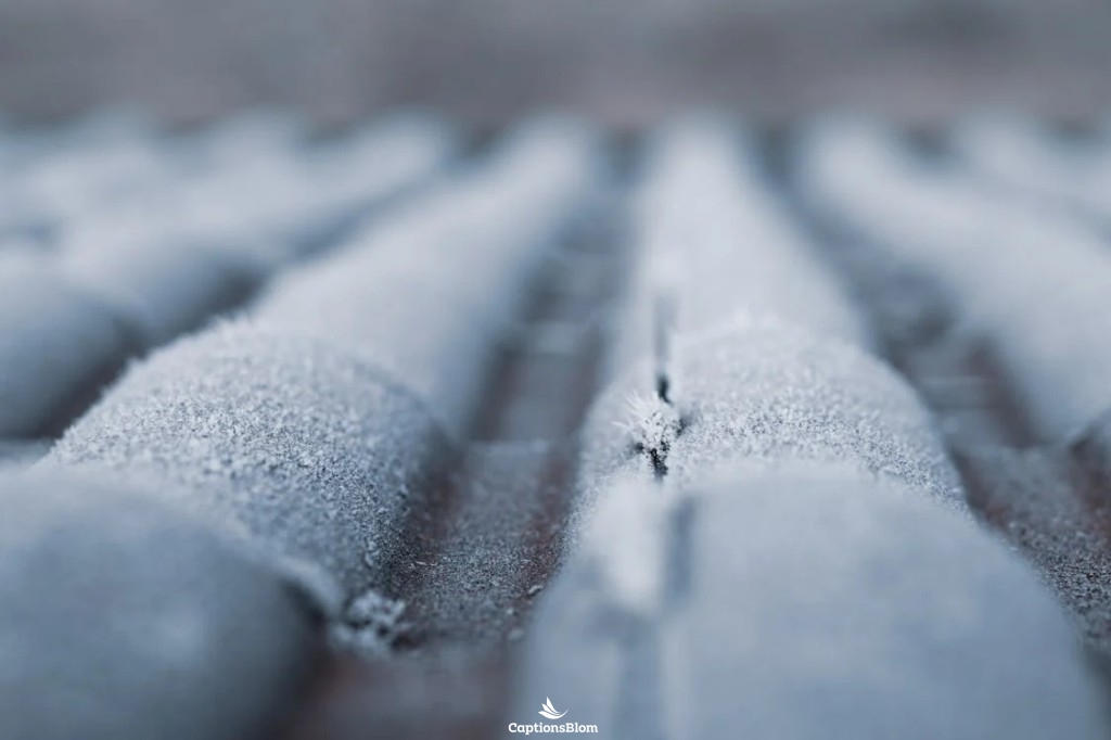 5 Signs You May Need to Replace Your Roof