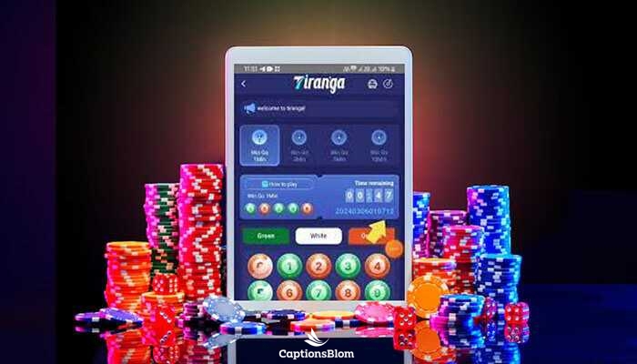Beginner’s Guide to Tiranga Colour Trading Strategies